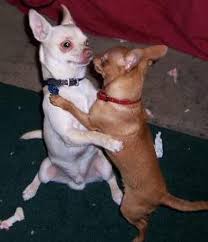 Image result for funny dance