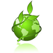 Image result for environmental studies