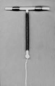 Image result for IUD image
