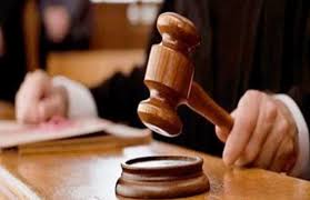نظر دعوى نفقة زوجة طارق حامد.. اليوم