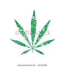 Résultat de recherche d'images pour "cannabis leaf"