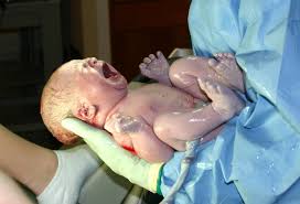 Image result for newly born baby