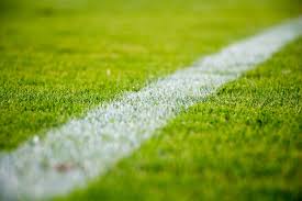 Palmeiras vs LDU de Quito Prediction: Favourites Under Spotlight