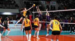 Türkiye Voleybol Federasyonu - News update