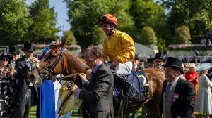 Racing Post - News update