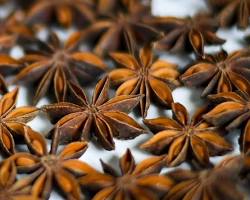 Hình ảnh về Vietnamese star anise