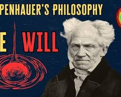 Immagine di Schopenhauer's concept of the will