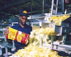 historical image of a factory producing potato chipsの画像