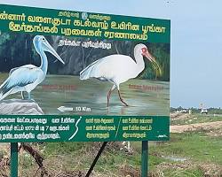 Image of Water Bird Sanctuary, Rameshwaram