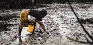 Image result for images of oil spillage in Nigeria