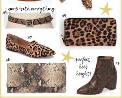 Image of various animal print accessories