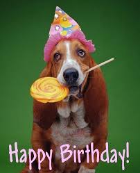 Image result for funny birthday