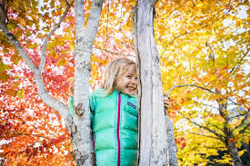 Resort Municipality of Whistler - News update