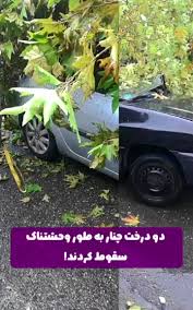 مهدیه اسفندیاری
