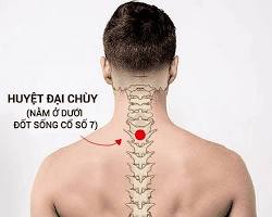 Hình ảnh về Huyệt đại chùy