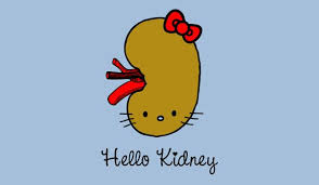 Kidney Stone Funny Quotes. QuotesGram via Relatably.com