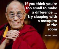 Dali lama. on Pinterest | Dalai Lama, Dali Lama Quotes and Dali via Relatably.com