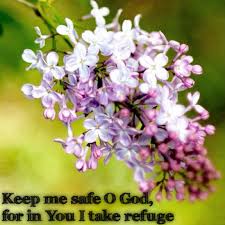 Image result for spring verses quotes