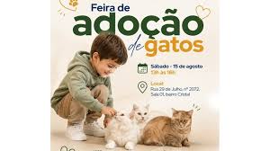 Gatos resgatados em apartamento: primeiros animais serão encaminhados para adoção