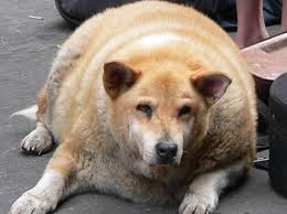 Image result for America site:http://www.jesus-is-savior.com