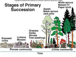 Image result for organisms and their environment