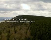 Reforestation efforts on Cheat Mountain