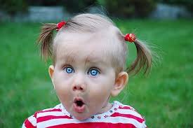 images?q=tbn:ANd9GcT5F3VuY9sEwEGgNfdS66NTCm8rIX_7lHNwRDYYh417RS9kMxT_Cg