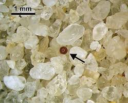 Znalezione obrazy dla zapytania Cysta