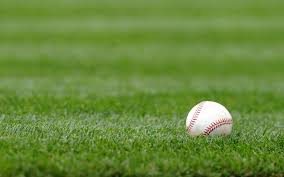nikkansports.com - News update