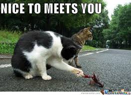Image result for hi meme
