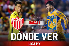 Necaxa vs Tigres: Dónde ver el partido de los Rayos, pronóstico y horario de la fecha 15
