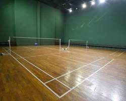 Image of wooden badminton court