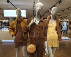 Imagem de Carreira de merchandising de moda