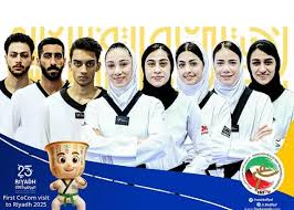 ملیکا میرحسینی