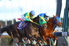 It’s Champions Cup Week. Here’s What You Need To Know