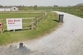 Girl, 13, arrested after holiday caravan park smash leaves man, 81, fighting for his life in hospital