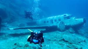 Image result for scuba diving