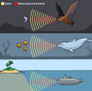 Ultrasonic wave definition of ultrasonic wave by Medical dictionary