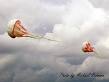 Images for jellyfish kite