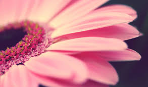 Résultat de recherche d'images pour "we heart it"