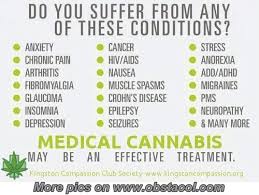 Funny Weed Pictures and Sayings | Medical Cannabis | Funny ... via Relatably.com