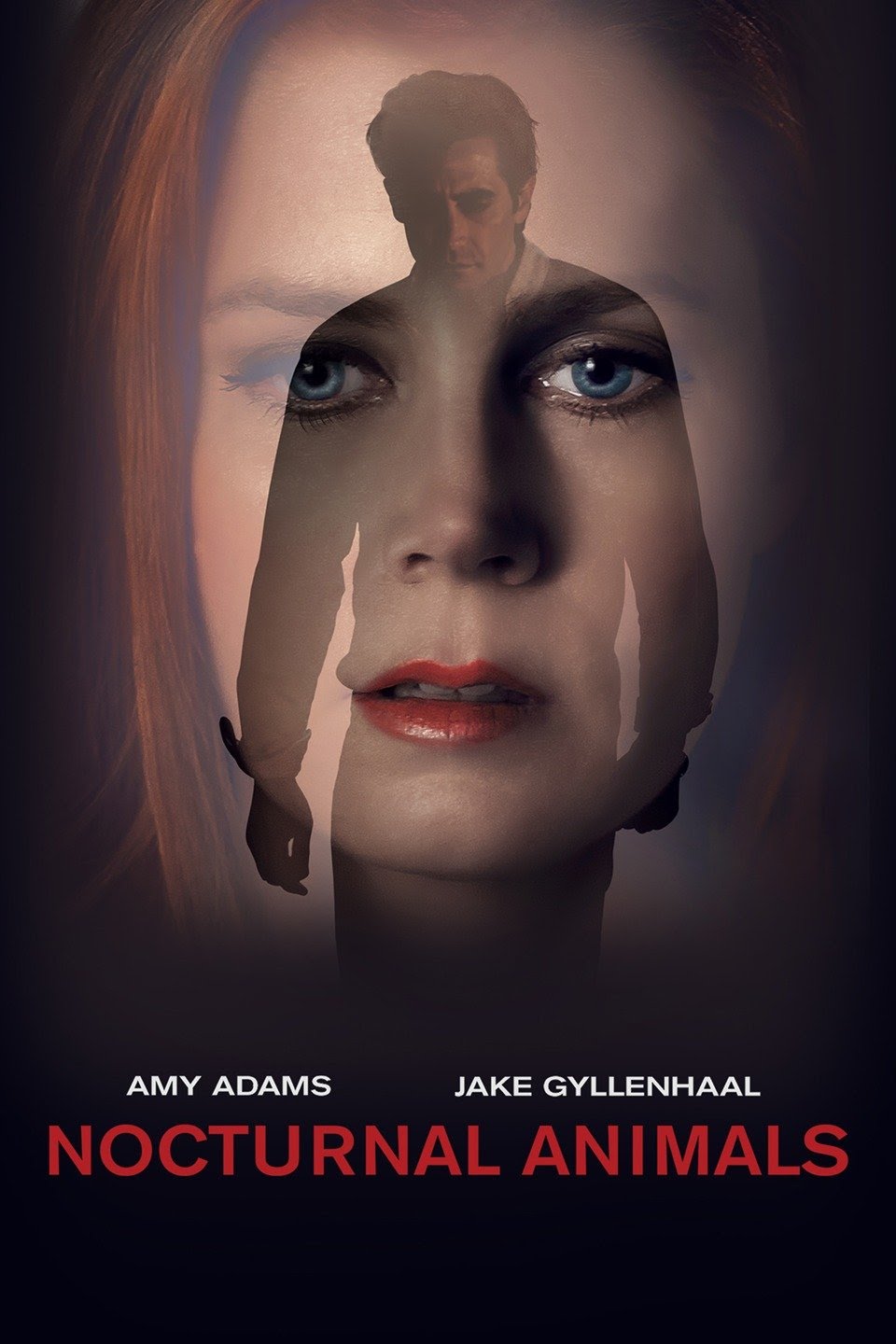 Nocturnal Animals (2016) Dual Audio {Hindi-English} 480p | 720p