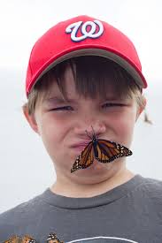 Sean Dove of Centreville is not entirely convinced having a monarch butterfly on his nose . - B0612-709_t990