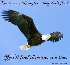 Leaders are like eagles quote | The Dominant Eagle | Pinterest ... via Relatably.com