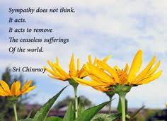 Sri Chinmoy on Pinterest | Inner Peace, Meditation and Poem via Relatably.com