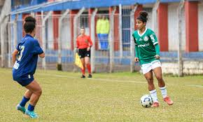 Palmeiras - News update