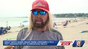 'Too close for comfort': Maine lifeguard recounts being dragged underwater by great white shark