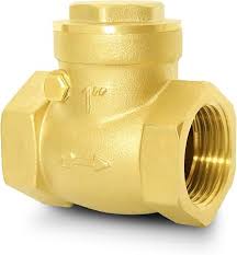 Amazon.com: Swing Check Valve, Bronze, 1 In., NPT