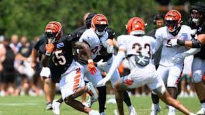 Bengals - News update
