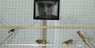 Image result for Arte electronico